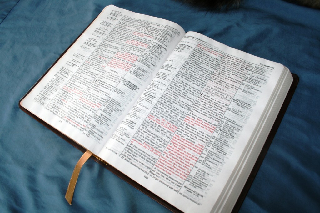 best-study-bibles-for-preachers-and-pastors