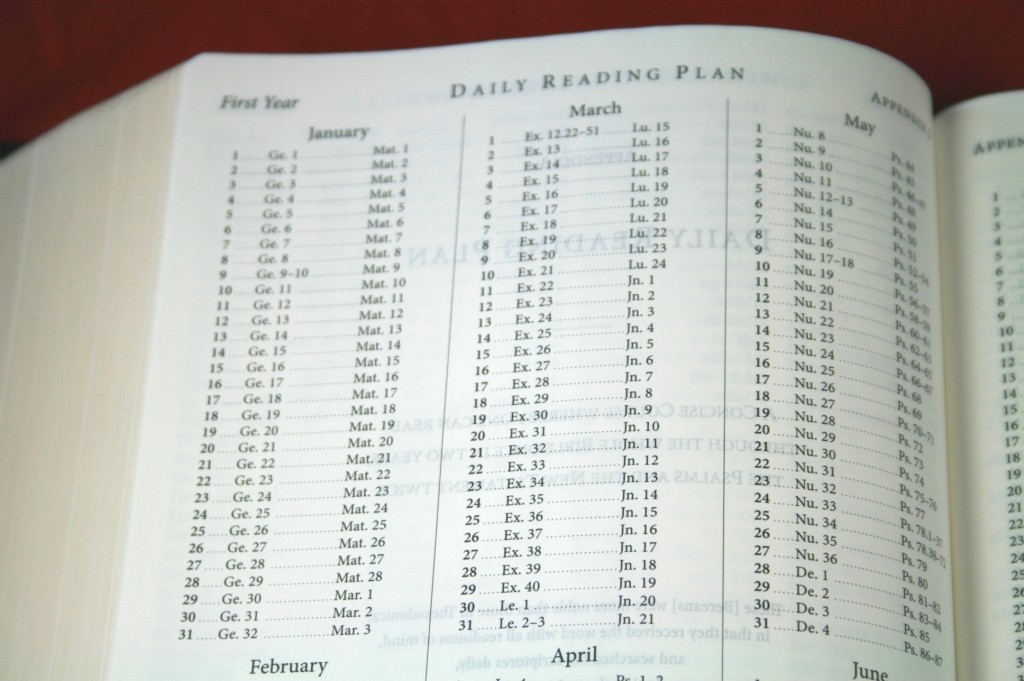 M'Cheyne Reading Plan Review Bible Buying Guide