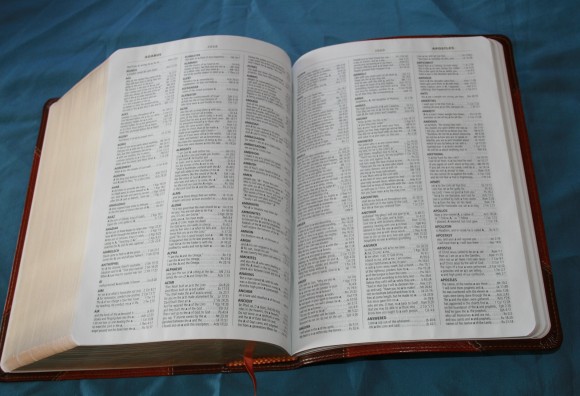 esv bible reading plans