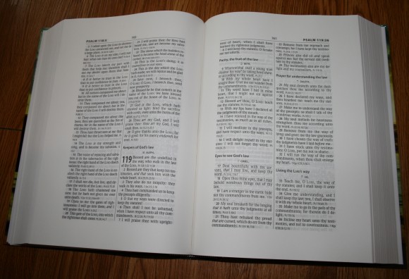 Hendrickson Large Print Wide Margin Bible KJV 004
