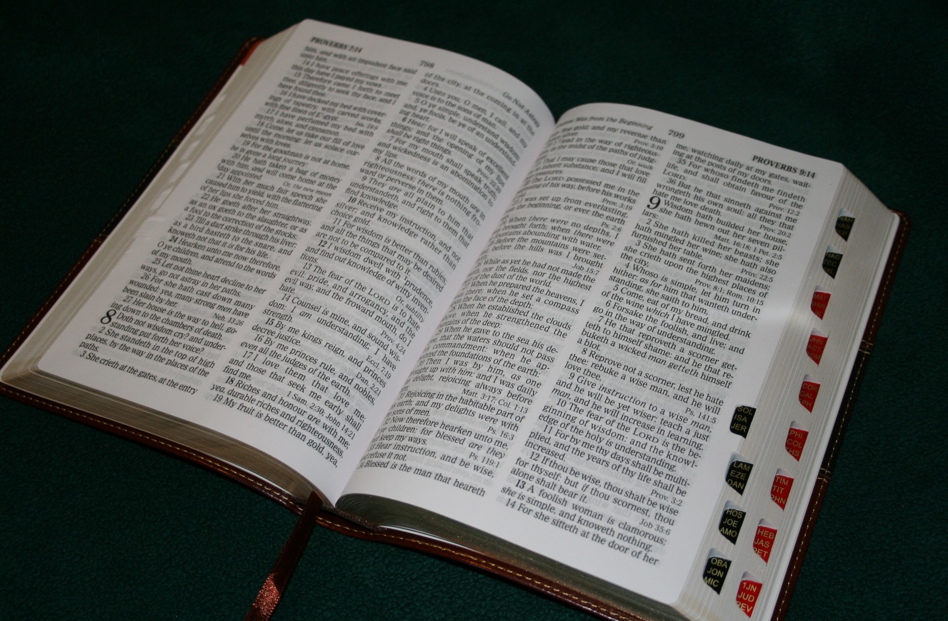 Favorite Bibles Reading Bibles