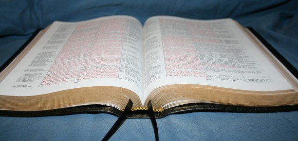 LCBP Thompson Chain Reference Bible 060