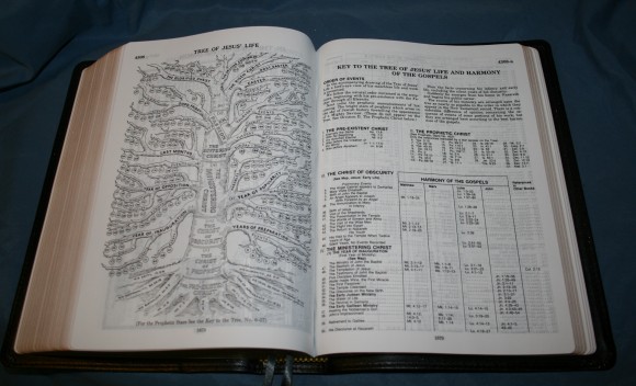 LCBP Thompson Chain Reference Bible 089