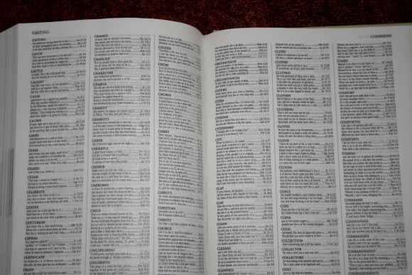 The New Inductive Study Bible ESV 036