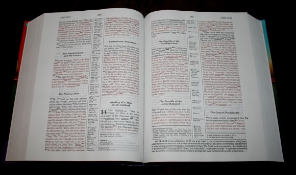 Hebrew-Greek Key Word Study Bible ESV 008
