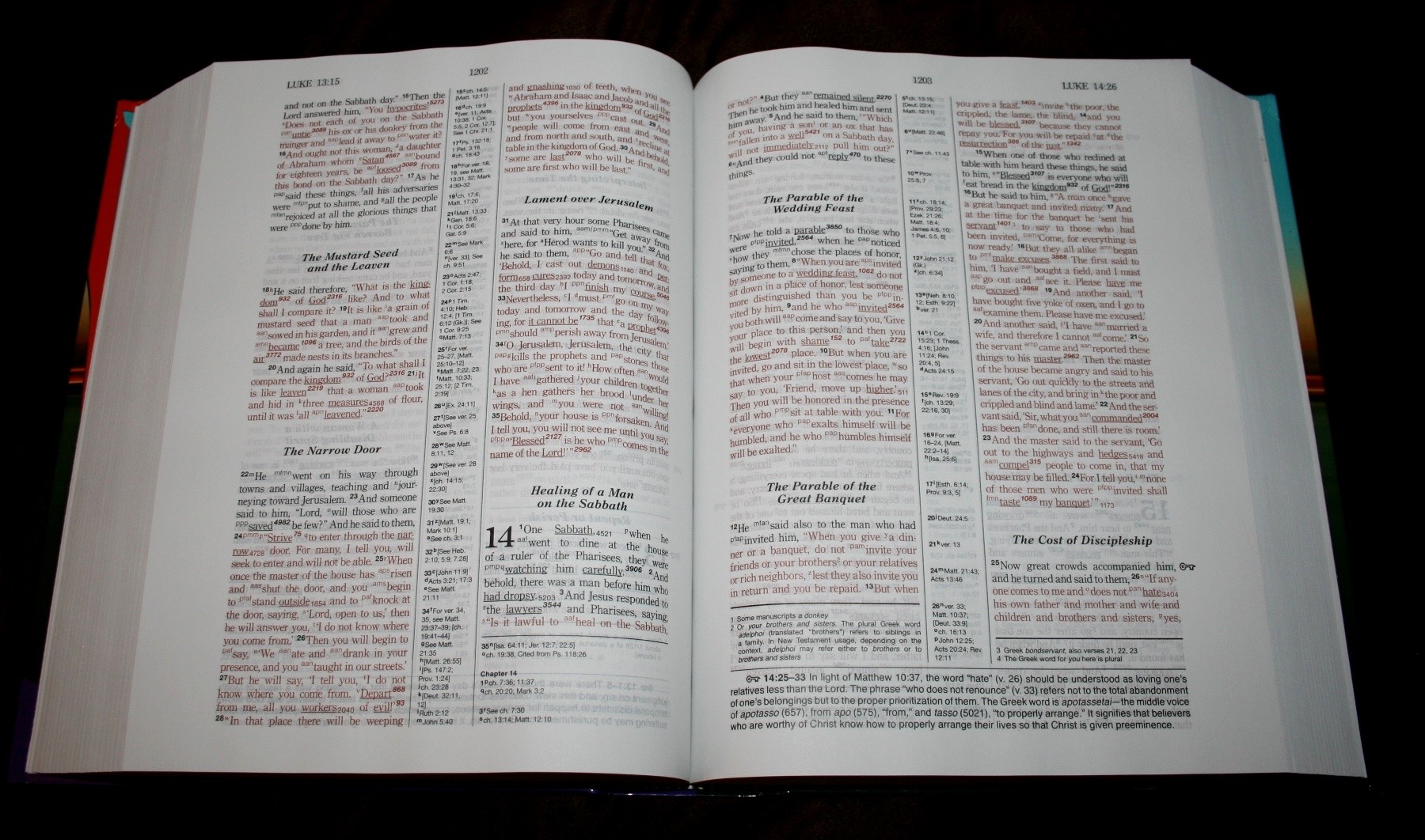 Hebrew-Greek-Key-Word-Study-Bible-ESV-008.jpg
