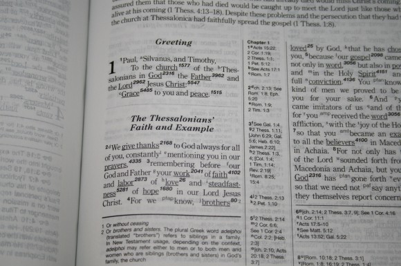 Hebrew-Greek Key Word Study Bible ESV 010