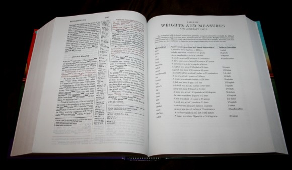 Hebrew-Greek Key Word Study Bible ESV 012