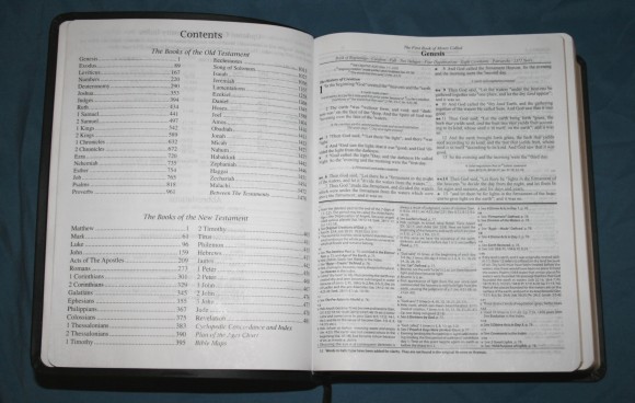 Dake Annotated Reference Bible NKJV 010