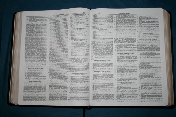 Dake Annotated Reference Bible NKJV 017