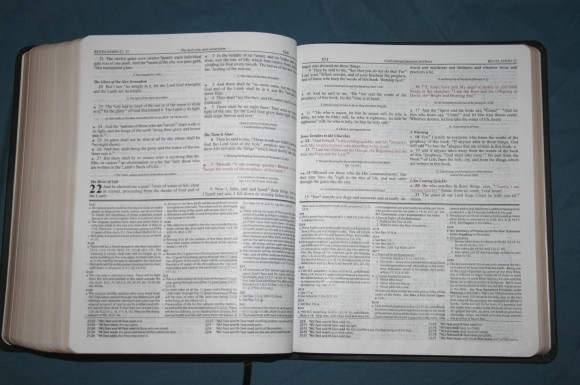Dake Annotated Reference Bible NKJV 021