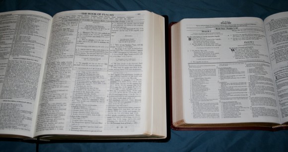 Dake Annotated Reference Bible NKJV 041