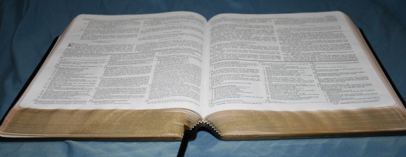 Dake Annotated Reference Bible NKJV 048