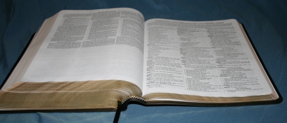 Dake Annotated Reference Bible NKJV 049