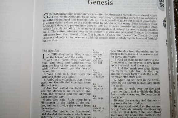Zondervan King James Reference Bible Center-Column with Thumb In 012