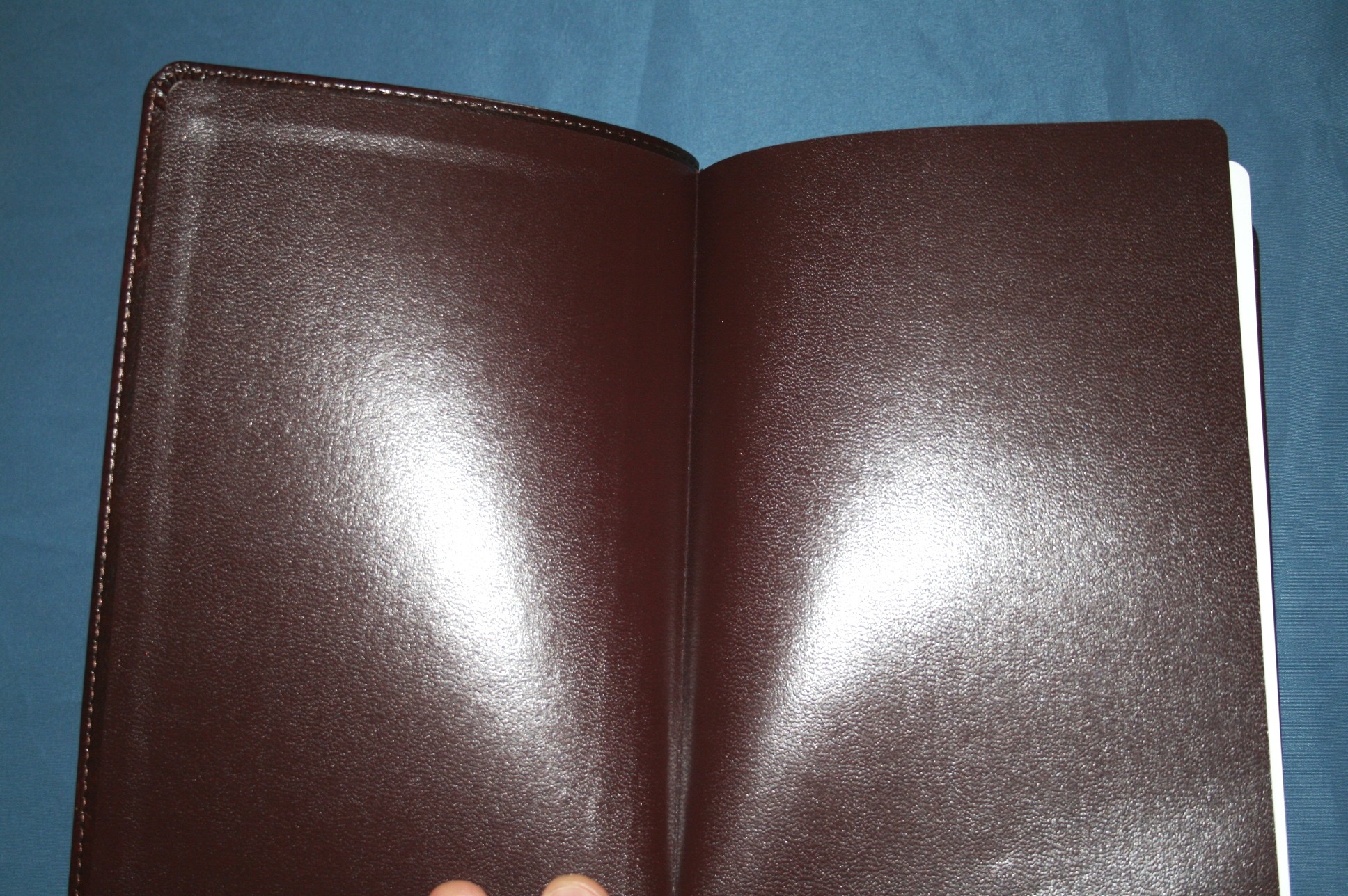 genuine leather esv bible