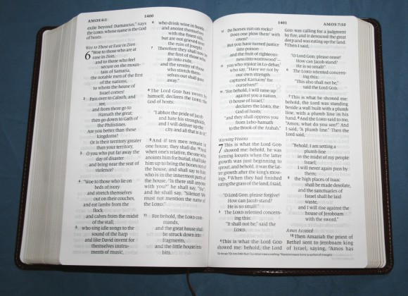 Crossway ESV Large Print Personal Size Bible 012