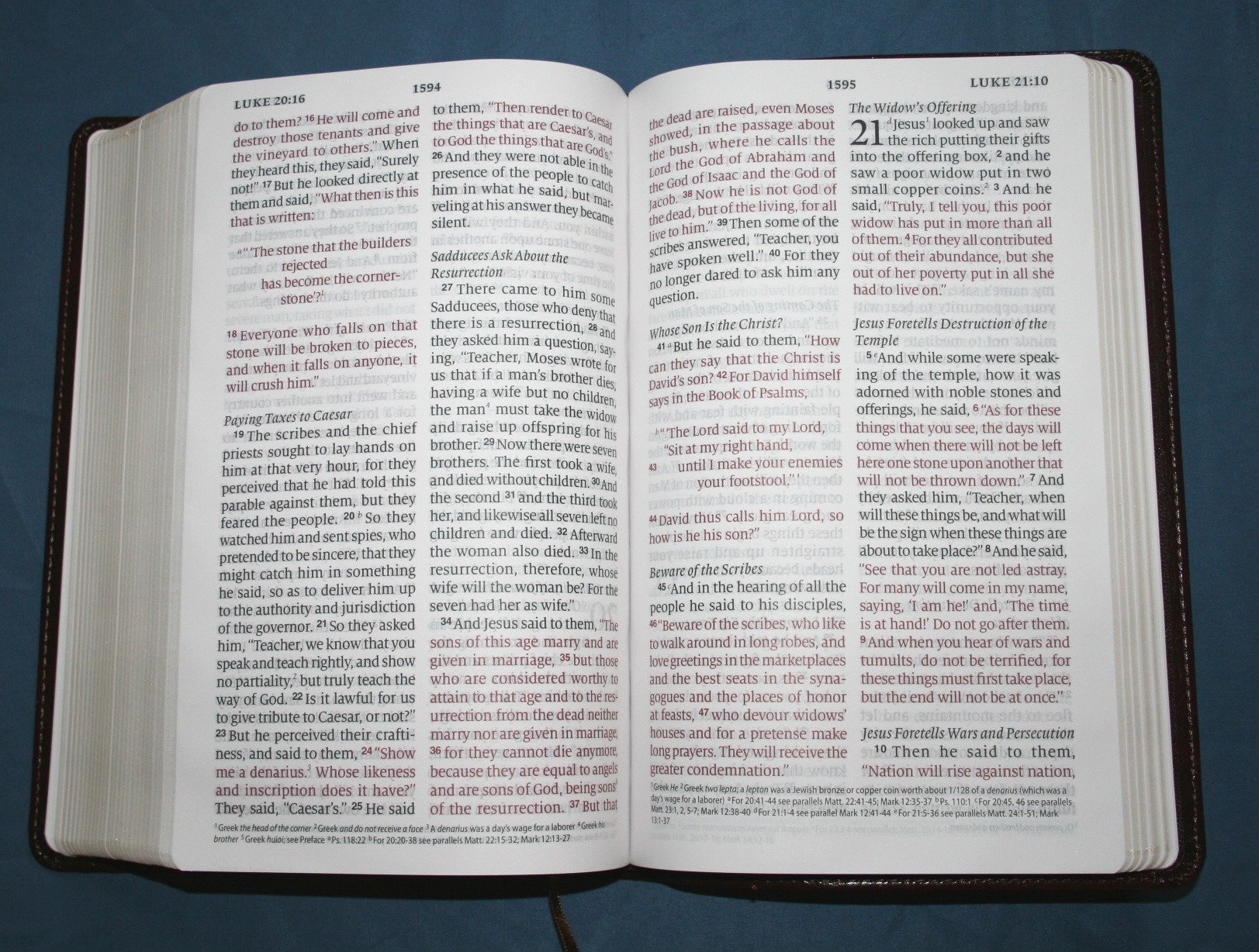 extra large print esv bible