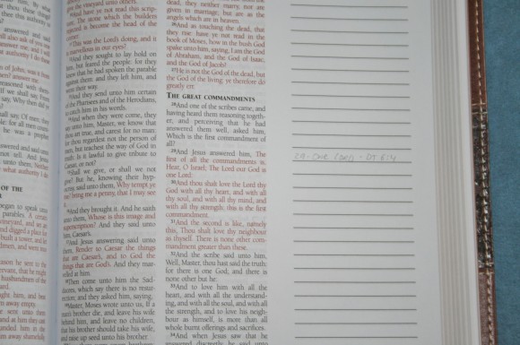 Barbour KJV Journaling Bible (12)