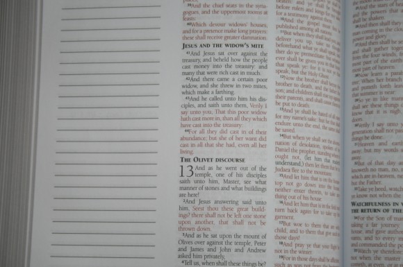 Barbour KJV Journaling Bible (13)