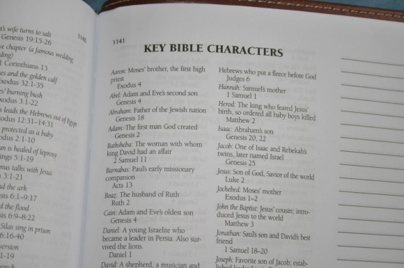 Barbour KJV Journaling Bible (16)