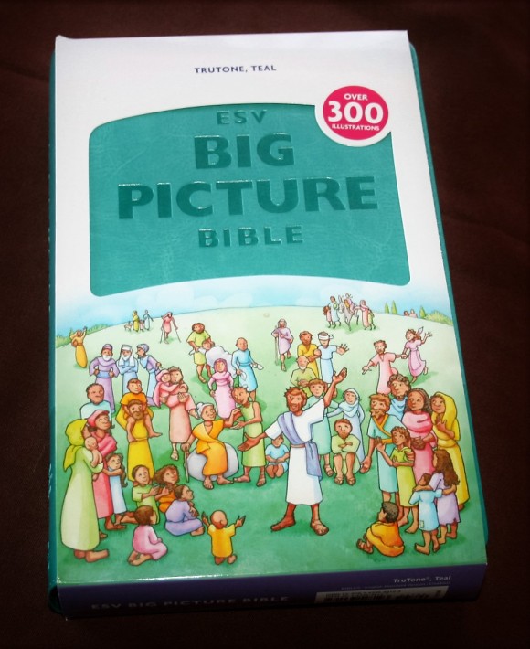 ESV Big Picture Bible (19)