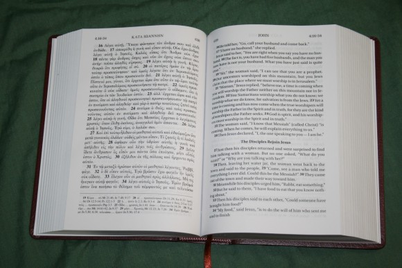 UBS NIV Greek English New Testament (3)