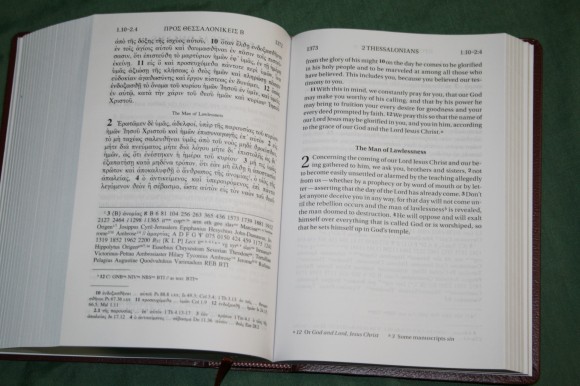 UBS NIV Greek English New Testament (5)