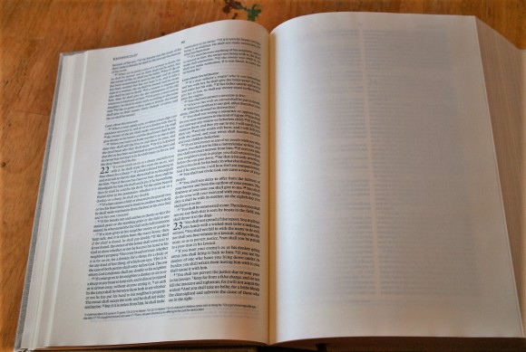 ESV Journaling Bible Interleaved Edition (7)