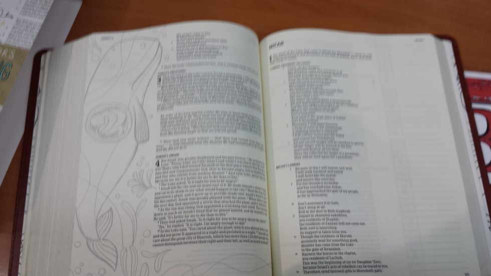 Holman Illustrators Notetaking Bible (4)