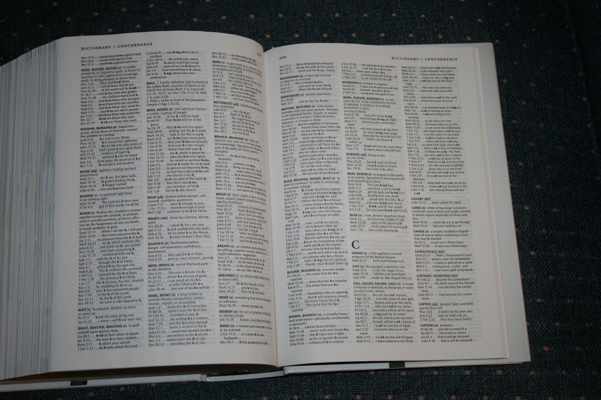 NLT Illustrated Study Bible Review Bible Buying Guide