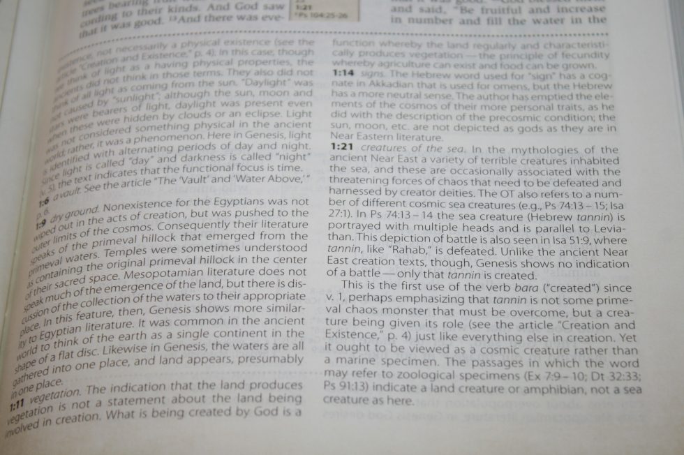 NIV Cultural Backgrounds Study Bible (67)