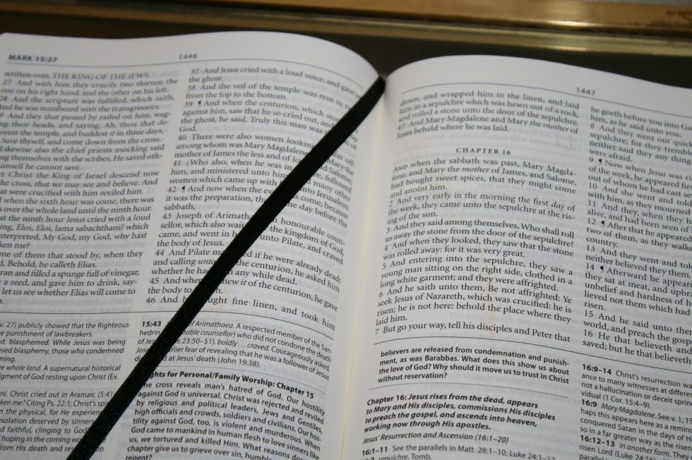 The Reformation Heritage KJV Study Bible (32)