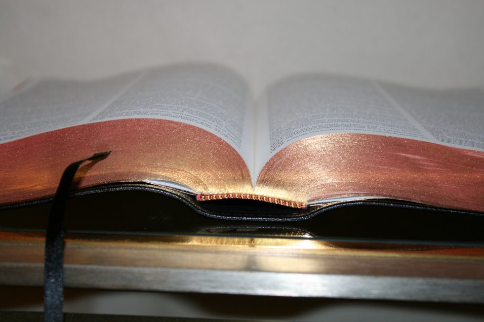 The Reformation Heritage KJV Study Bible (35)