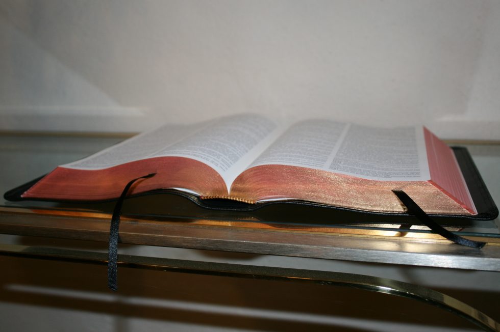 The Reformation Heritage KJV Study Bible (36)