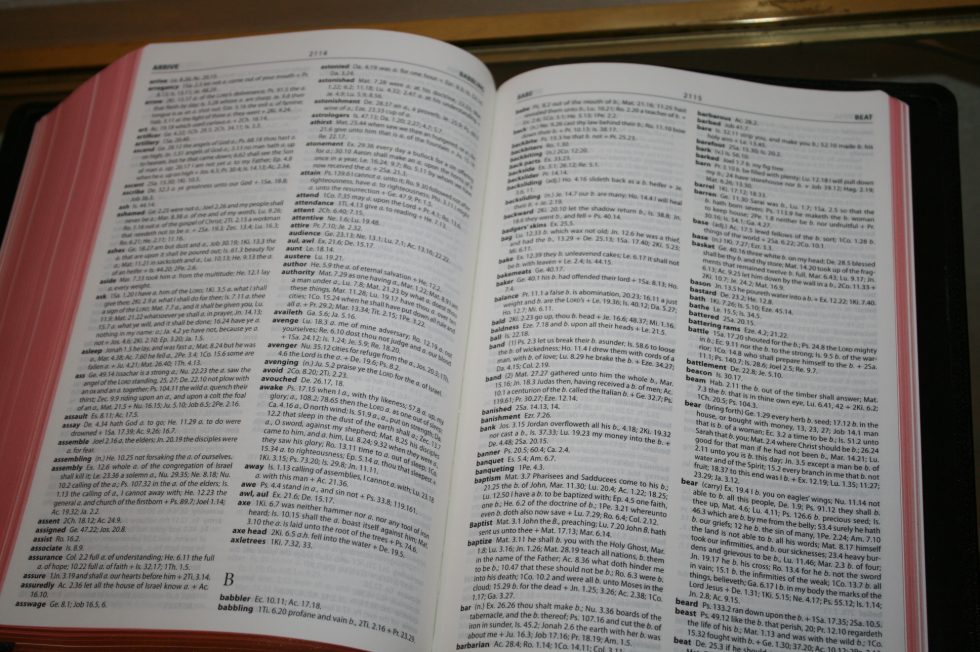The Reformation Heritage KJV Study Bible (45)