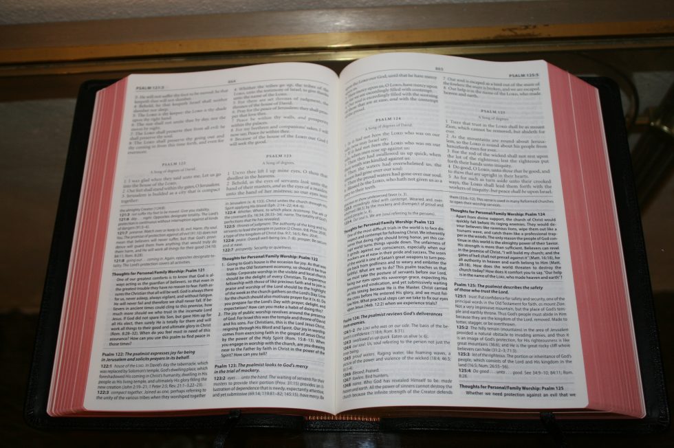 The Reformation Heritage KJV Study Bible (53)