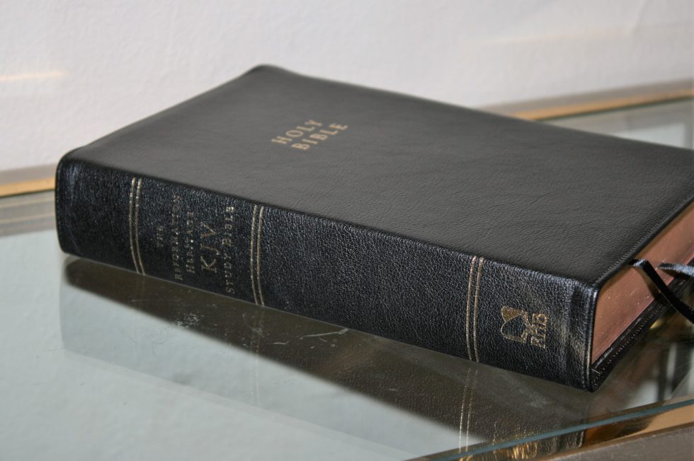 The Reformation Heritage KJV Study Bible (8)