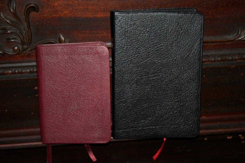 TBS Pocket Reference Bible (24)