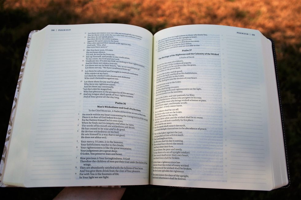 sneak-peek-journal-the-word-bible-4