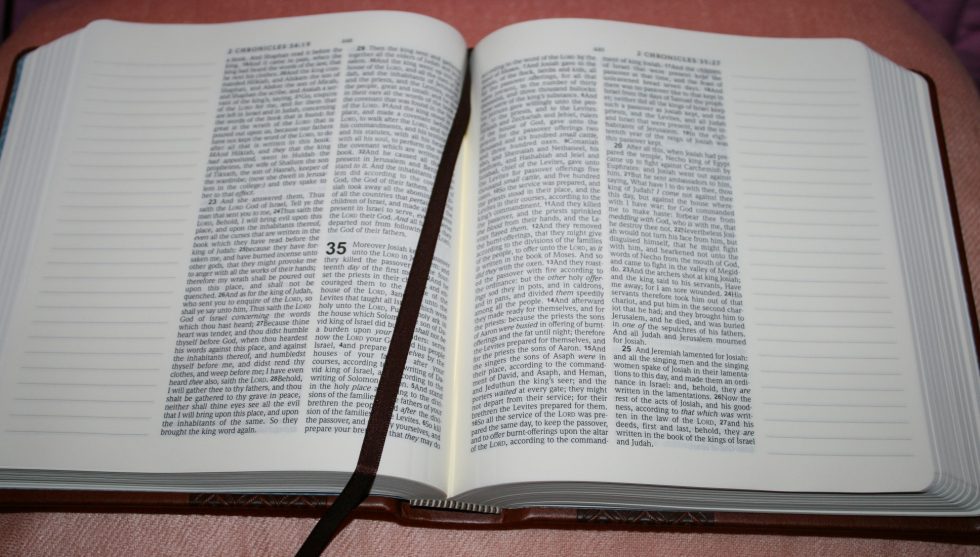hendrickson-kjv-expression-bible-3