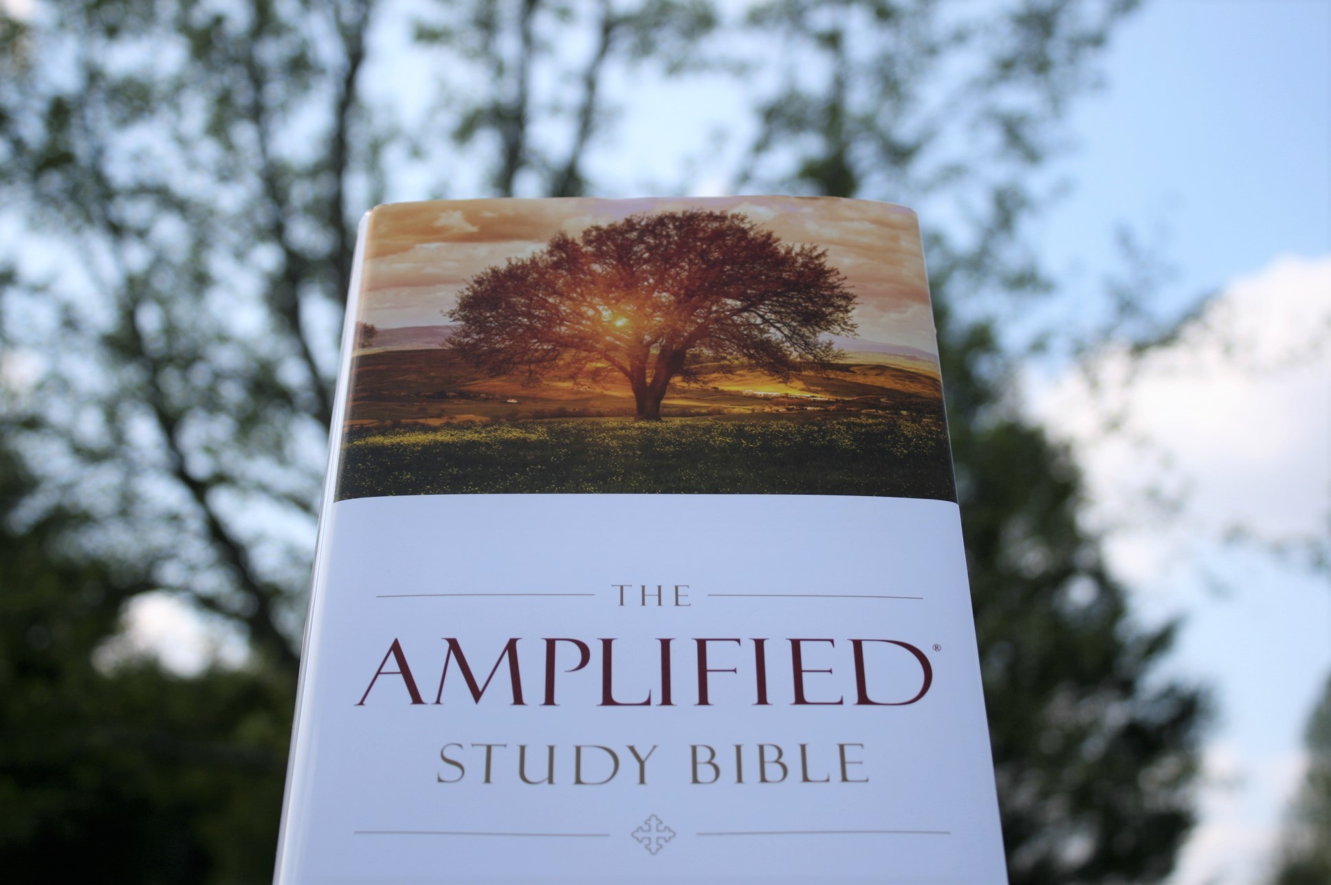 Amplified Study Bible Review Bible Buying Guide