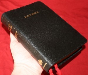 Favorite Bibles - Reading Bibles