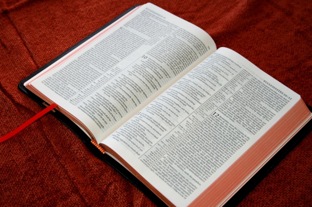 Cambridge KJV Pitt Minion Bible 021