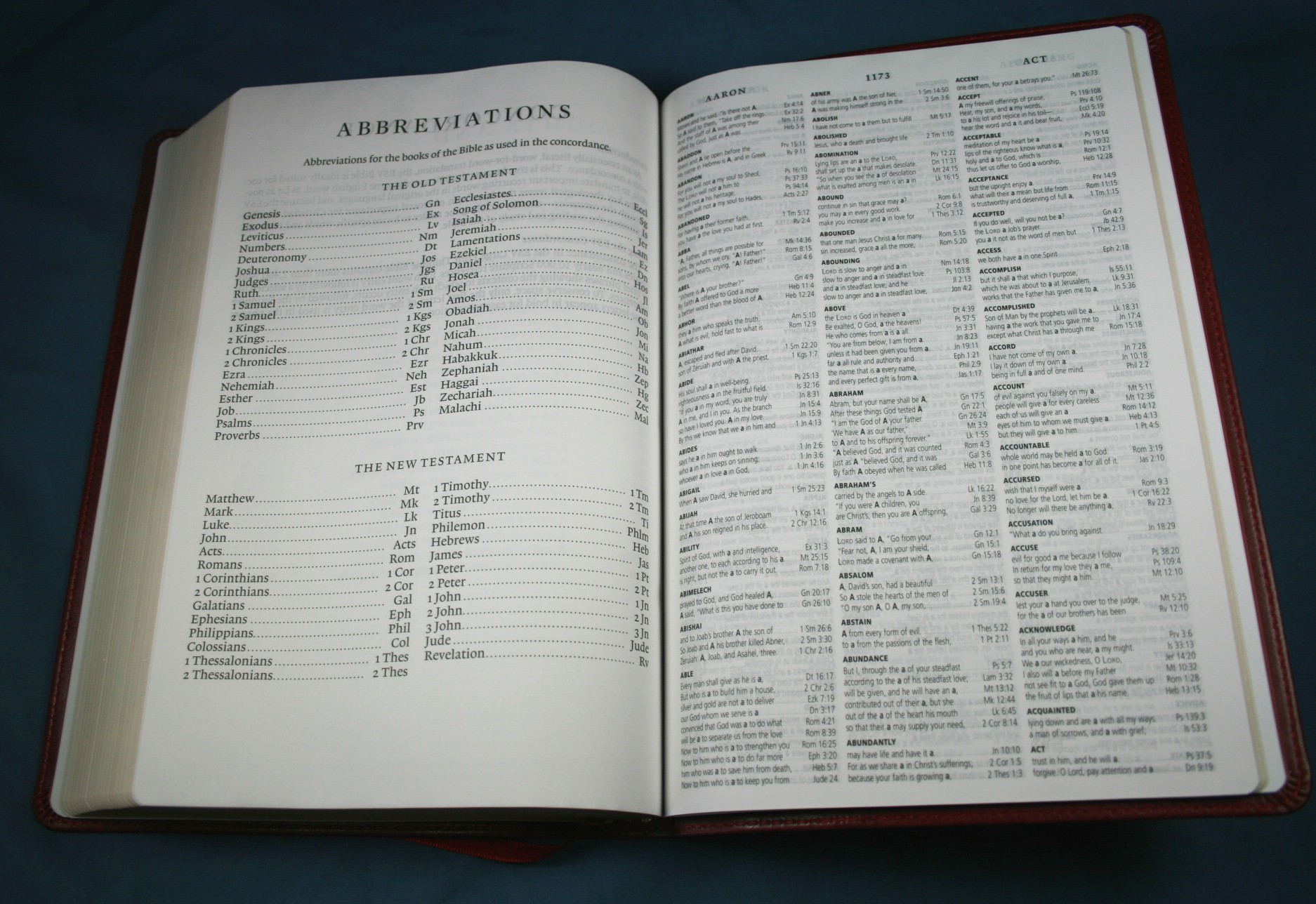 Crossway ESV Large Print Thinline Reference Bible 045