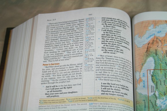 Holman HCSB Study Bible 035