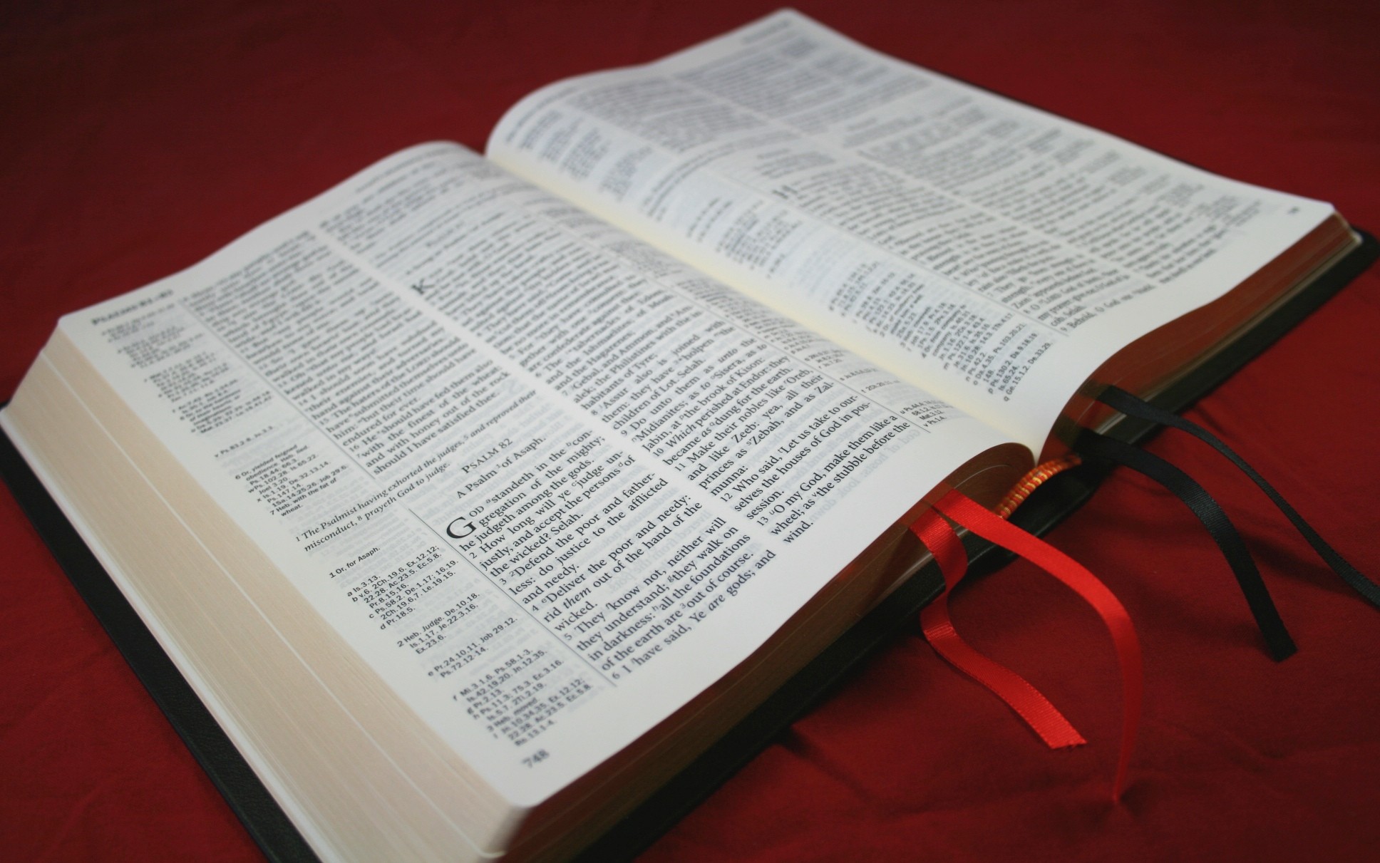 Best Reference Bibles for Pastors and Preachers
