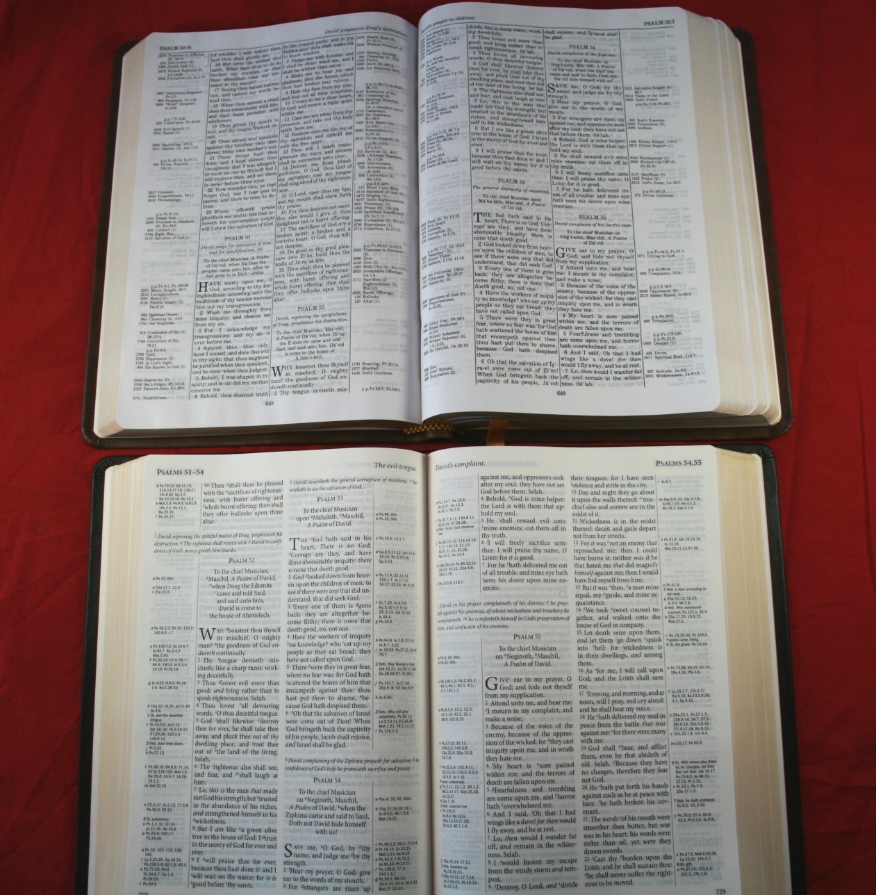 TBS Westminster Reference Bible KJV 033
