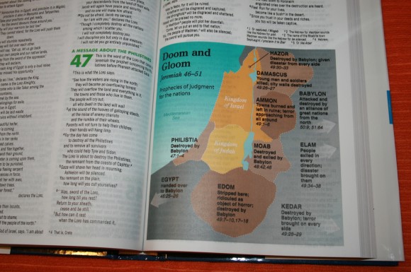 Zondervan NIV Quickview Bible 014