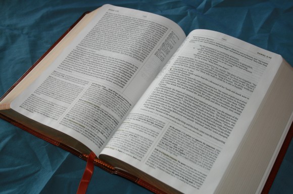 Crossway ESV Study Bible 021